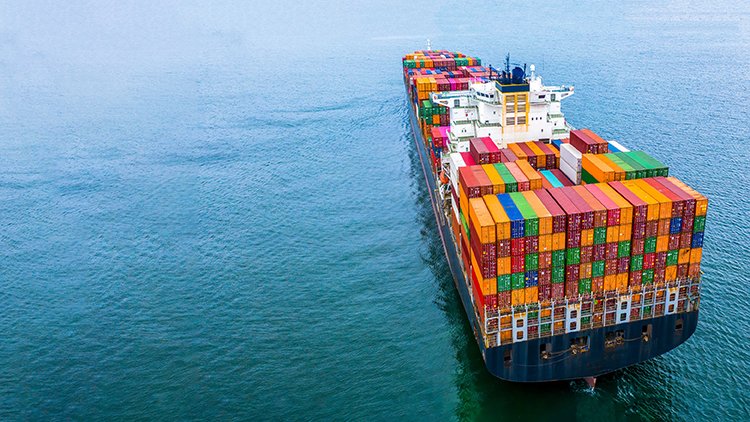 Servizi urgenti per i carichi container completi (FCL) sulla rotta TAWB
