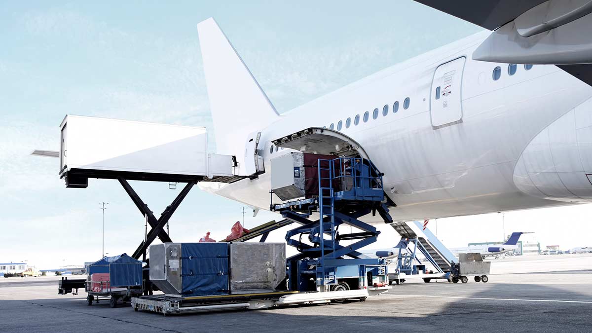 Envío aéreo refrigerado con temperatura controlada