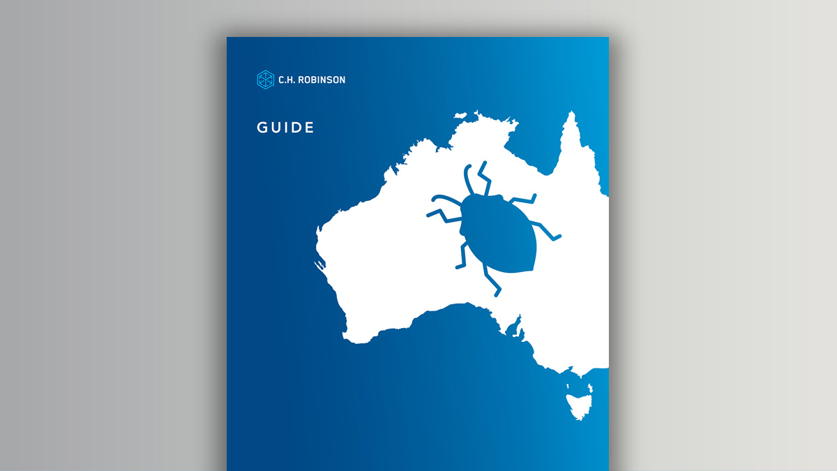 Brown marmorated stink bug graphic